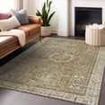 thumbnail image 1 of Addison Rugs Chantille Indoor/Outdoor Traditional Border Brown Machine Washable Rectangle Rug, 5' x 7'6", 1 of 7