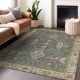 thumbnail image 1 of Addison Rugs Chantille Indoor/Outdoor Traditional Border Gray Machine Washable Rectangle Rug, 9' x 12', 1 of 7