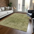 thumbnail image 1 of Addison Rugs Chantille Indoor/Outdoor Traditional Border Green Machine Washable Rectangle Rug, 8' x 10', 1 of 7