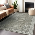 thumbnail image 1 of Addison Rugs Chantille Indoor/Outdoor Traditional Border Pewter Machine Washable Rectangle Rug, 8' x 10', 1 of 7