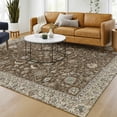 thumbnail image 1 of Addison Rugs Chantille Indoor/Outdoor Traditional Chocolate Machine Washable Rectangle Rug, 10' x 14', 1 of 8