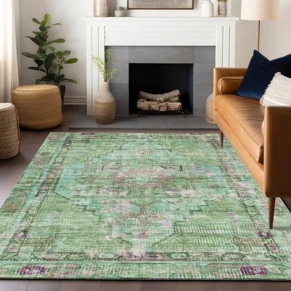Addison Rugs Chantille Indoor/Outdoor Traditional Global Aloe Machine Washable Rectangle Rug, 10' x 14'
