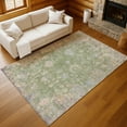 thumbnail image 1 of Addison Rugs Chantille Indoor/Outdoor Traditional Global Aloe Machine Washable Rectangle Rug, 10' x 14', 1 of 8