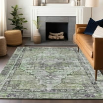 Addison Rugs Chantille Indoor/Outdoor Traditional Global Aloe Machine Washable Rectangle Rug, 10' x 14'