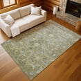 thumbnail image 1 of Addison Rugs Chantille Indoor/Outdoor Traditional Global Aloe Machine Washable Rectangle Rug, 3' x 5', 1 of 8