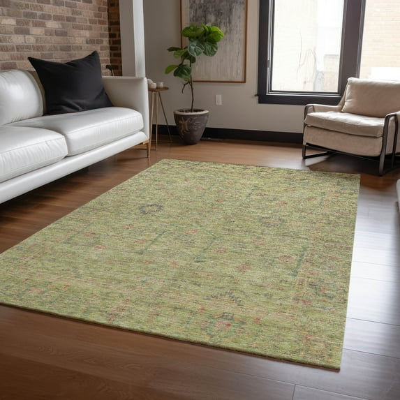 Addison Rugs Chantille Indoor/Outdoor Traditional Global Aloe Washable Rectangle Rug, 3' x 5'