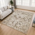 thumbnail image 1 of Addison Rugs Chantille Indoor/Outdoor Traditional Global Beige Machine Washable Rectangle Rug, 10' x 14', 1 of 8