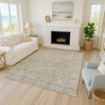thumbnail image 1 of Addison Rugs Chantille Indoor/Outdoor Traditional Global Beige Machine Washable Rectangle Rug, 5' x 7'6", 1 of 8