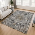 thumbnail image 1 of Addison Rugs Chantille Indoor/Outdoor Traditional Global Black Machine Washable Rectangle Rug, 10' x 14', 1 of 8