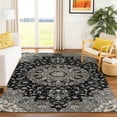 thumbnail image 1 of Addison Rugs Chantille Indoor/Outdoor Traditional Global Black Machine Washable Rectangle Rug, 10' x 14', 1 of 8