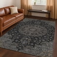 thumbnail image 1 of Addison Rugs Chantille Indoor/Outdoor Traditional Global Black Machine Washable Rectangle Rug, 10' x 14', 1 of 8