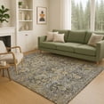 thumbnail image 1 of Addison Rugs Chantille Indoor/Outdoor Traditional Global Black Machine Washable Rectangle Rug, 8' x 10', 1 of 8