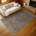 thumbnail image 1 of Addison Rugs Chantille Indoor/Outdoor Traditional Global Brown Machine Washable Rectangle Rug, 10' x 14', 1 of 8