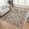 thumbnail image 1 of Addison Rugs Chantille Indoor/Outdoor Traditional Global Brown Machine Washable Rectangle Rug, 9' x 12', 1 of 8