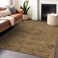 thumbnail image 1 of Addison Rugs Chantille Indoor/Outdoor Traditional Global Brown Washable Rectangle Rug, 10' x 14', 1 of 6