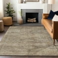 thumbnail image 1 of Addison Rugs Chantille Indoor/Outdoor Traditional Global Brown Washable Rectangle Rug, 3' x 5', 1 of 6