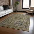 thumbnail image 1 of Addison Rugs Chantille Indoor/Outdoor Traditional Global Brown Washable Rectangle Rug, 3' x 5', 1 of 6