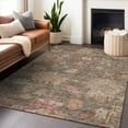thumbnail image 1 of Addison Rugs Chantille Indoor/Outdoor Traditional Global Brown Washable Rectangle Rug, 5' x 7'6", 1 of 6