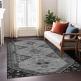 thumbnail image 1 of Addison Rugs Chantille Indoor/Outdoor Traditional Global Charcoal Machine Washable Rectangle Rug, 5' x 7'6", 1 of 8