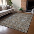 thumbnail image 1 of Addison Rugs Chantille Indoor/Outdoor Traditional Global Chocolate Machine Washable Rectangle Rug, 10' x 14', 1 of 8
