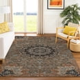 thumbnail image 1 of Addison Rugs Chantille Indoor/Outdoor Traditional Global Chocolate Machine Washable Rectangle Rug, 10' x 14', 1 of 8