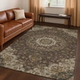 thumbnail image 1 of Addison Rugs Chantille Indoor/Outdoor Traditional Global Chocolate Machine Washable Rectangle Rug, 3' x 5', 1 of 8