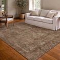 thumbnail image 1 of Addison Rugs Chantille Indoor/Outdoor Traditional Global Copper Machine Washable Rectangle Rug, 10' x 14', 1 of 8