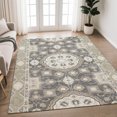 thumbnail image 1 of Addison Rugs Chantille Indoor/Outdoor Traditional Global Graphite Machine Washable Rectangle Rug, 10' x 14', 1 of 8
