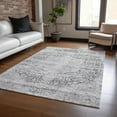 thumbnail image 1 of Addison Rugs Chantille Indoor/Outdoor Traditional Global Gray Washable Rectangle Rug, 2'6" x 3'10", 1 of 6