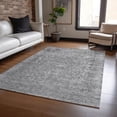 thumbnail image 1 of Addison Rugs Chantille Indoor/Outdoor Traditional Global Gray Washable Rectangle Rug, 3' x 5', 1 of 6