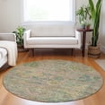 thumbnail image 1 of Addison Rugs Chantille Indoor/Outdoor Traditional Global Green Washable Round Rug, 8' x 8', 1 of 6