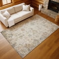 thumbnail image 1 of Addison Rugs Chantille Indoor/Outdoor Traditional Global Ivory Machine Washable Rectangle Rug, 9' x 12', 1 of 8