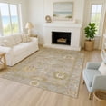 thumbnail image 1 of Addison Rugs Chantille Indoor/Outdoor Traditional Global Khaki Machine Washable Rectangle Rug, 9' x 12', 1 of 8