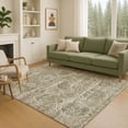 thumbnail image 1 of Addison Rugs Chantille Indoor/Outdoor Traditional Global Olive Machine Washable Rectangle Rug, 10' x 14', 1 of 8