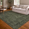 thumbnail image 1 of Addison Rugs Chantille Indoor/Outdoor Traditional Global Olive Machine Washable Rectangle Rug, 5' x 7'6", 1 of 8