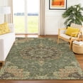 thumbnail image 1 of Addison Rugs Chantille Indoor/Outdoor Traditional Global Olive Machine Washable Rectangle Rug, 5' x 7'6", 1 of 8