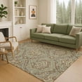 thumbnail image 1 of Addison Rugs Chantille Indoor/Outdoor Traditional Global Olive Machine Washable Rectangle Rug, 8' x 10', 1 of 8