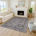 thumbnail image 1 of Addison Rugs Chantille Indoor/Outdoor Traditional Global Pewter Machine Washable Rectangle Rug, 9' x 12', 1 of 8