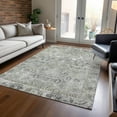 thumbnail image 1 of Addison Rugs Chantille Indoor/Outdoor Traditional Global Pewter Machine Washable Rectangle Rug, 9' x 12', 1 of 7