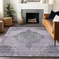 thumbnail image 1 of Addison Rugs Chantille Indoor/Outdoor Traditional Global Plum Machine Washable Rectangle Rug, 3' x 5', 1 of 7