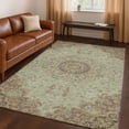 thumbnail image 1 of Addison Rugs Chantille Indoor/Outdoor Traditional Global Sage Machine Washable Rectangle Rug, 5' x 7'6", 1 of 8