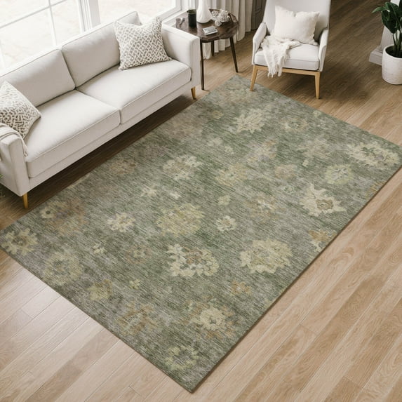 Addison Rugs Chantille Indoor/Outdoor Traditional Global Sage Machine Washable Rectangle Rug, 9' x 12'