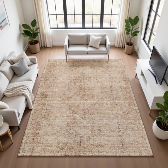 Addison Rugs Chantille Indoor/Outdoor Traditional Global Salmon Machine Washable Rectangle Rug, 8' x 10'