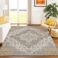 thumbnail image 1 of Addison Rugs Chantille Indoor/Outdoor Traditional Global Silver Machine Washable Rectangle Rug, 5' x 7'6", 1 of 8