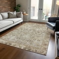 thumbnail image 1 of Addison Rugs Chantille Indoor/Outdoor Traditional Global Taupe Machine Washable Rectangle Rug, 10' x 14', 1 of 7