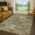 thumbnail image 1 of Addison Rugs Chantille Indoor/Outdoor Traditional Khaki Machine Washable Rectangle Rug, 3' x 5', 1 of 8