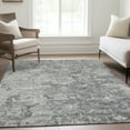 thumbnail image 1 of Addison Rugs Chantille Indoor/Outdoor Traditional Oriental Gray Washable Rectangle Rug, 5' x 7'6", 1 of 6