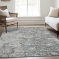 thumbnail image 1 of Addison Rugs Chantille Indoor/Outdoor Traditional Oriental Gray Washable Rectangle Rug, 8' x 10', 1 of 6