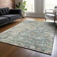 thumbnail image 1 of Addison Rugs Chantille Indoor/Outdoor Traditional Oriental Green Washable Rectangle Rug, 9' x 12', 1 of 6