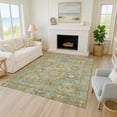 thumbnail image 1 of Addison Rugs Chantille Indoor/Outdoor Traditional Panel Aloe Machine Washable Rectangle Rug, 10' x 14', 1 of 8